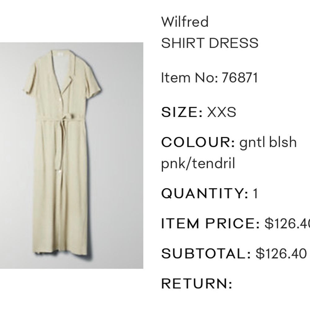 Wilfred Shirt Dress